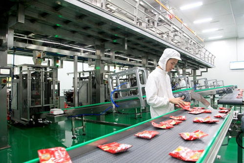 涪陵勇立潮頭 以網絡技術開發驅動創新升級，擘畫高質量發展新格局